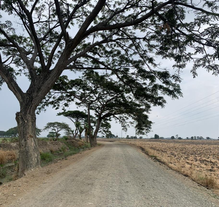 Land in Samborondón, Guayas, Ecuador 4 - 18660430