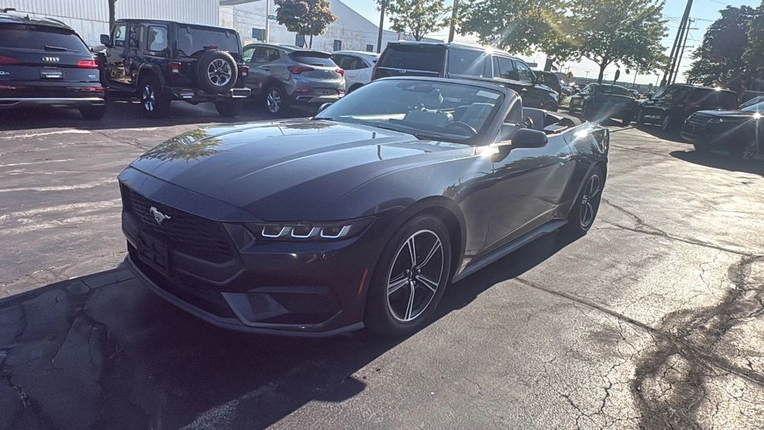 Cabriolet in Milwaukee, WI, United States 4 - 18664869