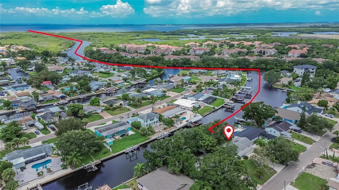 House in Tampa, Florida, United States 1 - 18670697