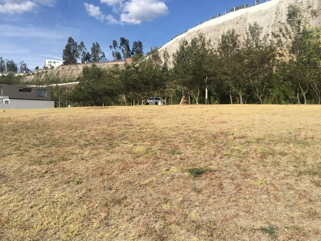 Land in Quito, Pichincha, Ecuador 5 - 18661673