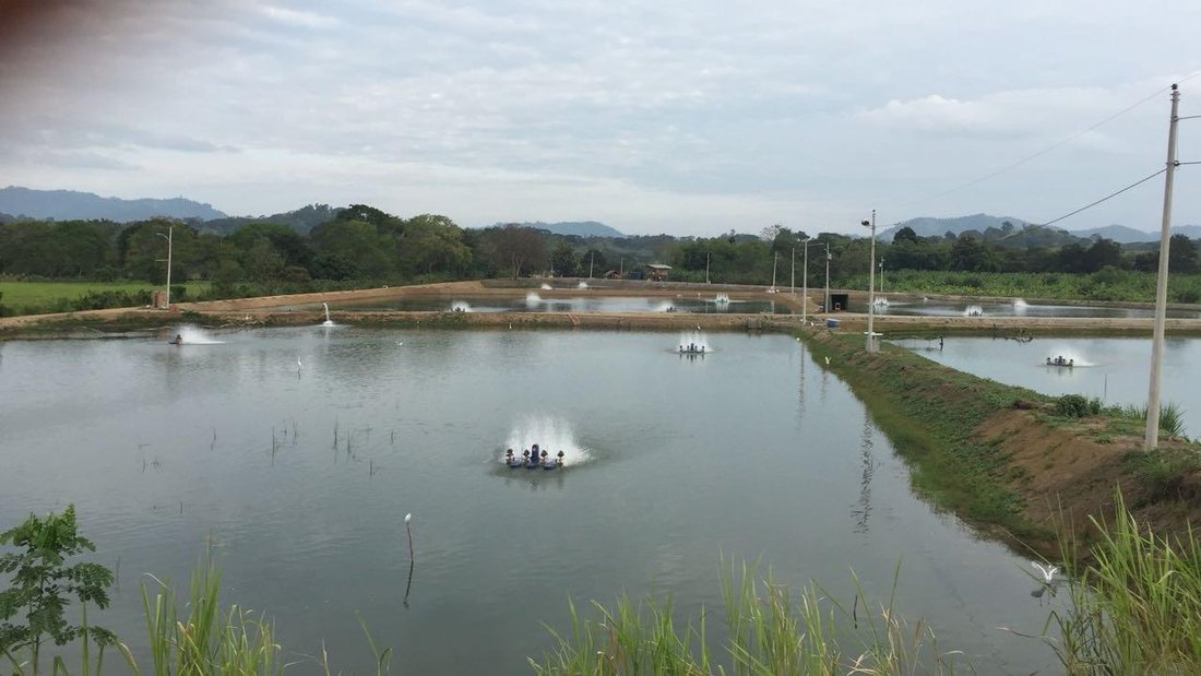 Land in Chone, Manabí, Ecuador 2 - 18661470