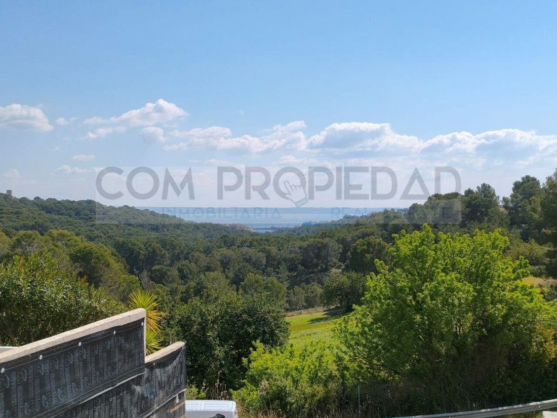 Land in Genoa, Palma, Balearic Islands 3 - 18660974