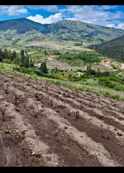 Land in Quito, Pichincha, Ecuador 3 - 18661499
