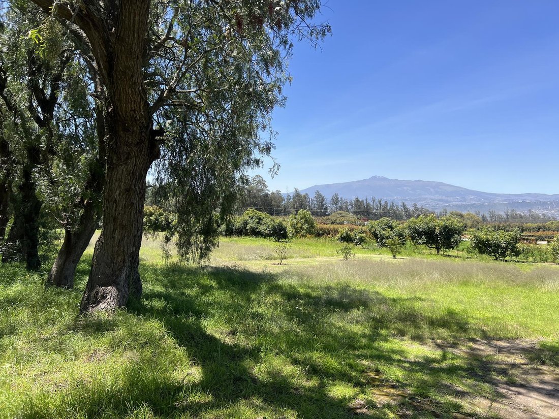 Land in Quito, Pichincha, Ecuador 4 - 18661701