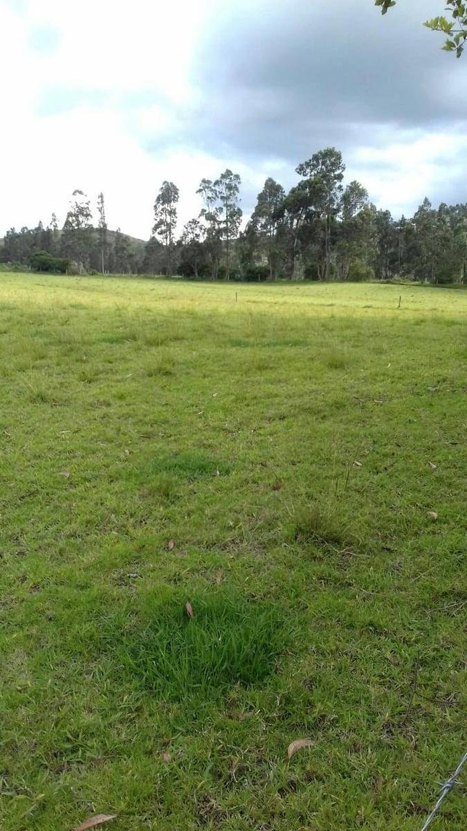 Land in Quito, Pichincha, Ecuador 2 - 18661421