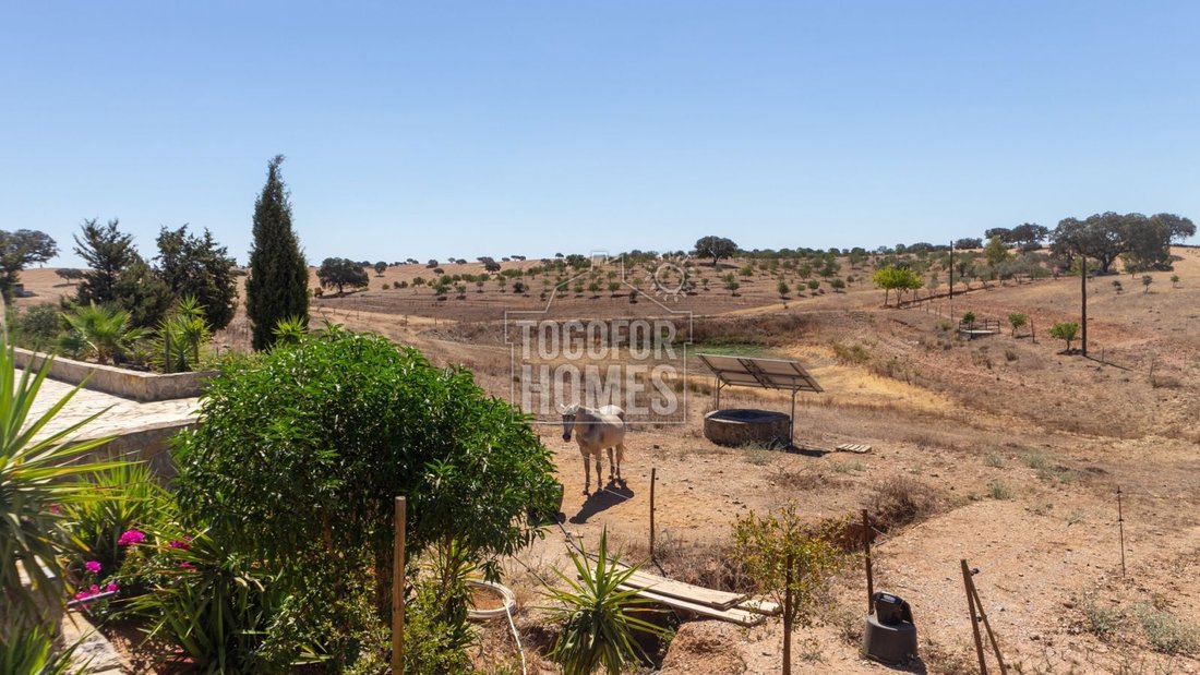 Domaine à Alcaria Ruiva, Beja, Portugal 5 - 14277313