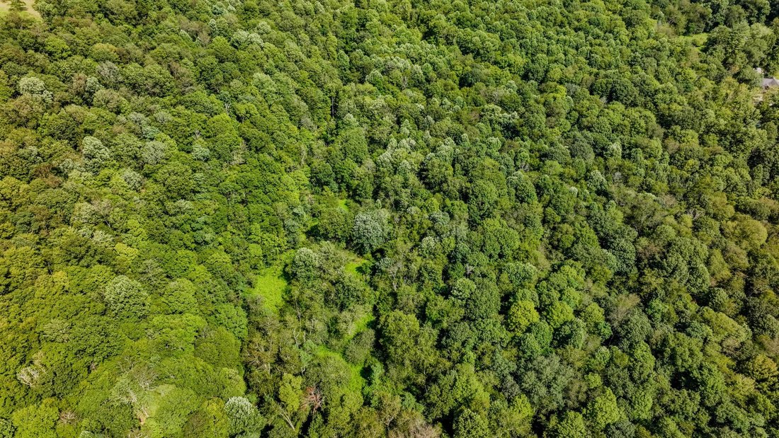 Land in Stahlstown, Pennsylvania, United States 5 - 18659045