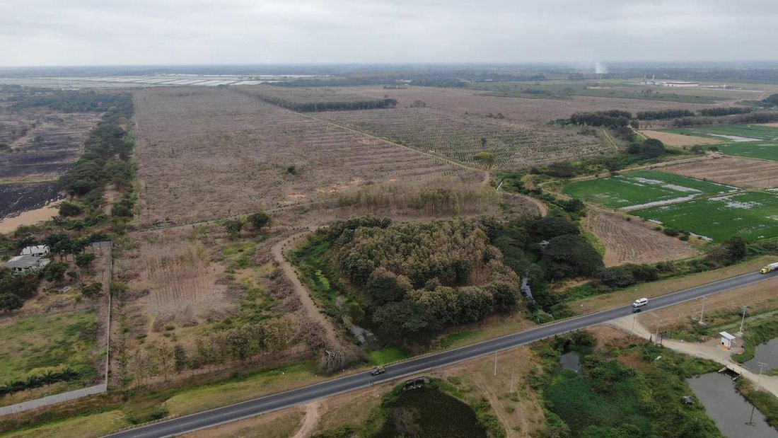 Land in La Palma, Guayas, Ecuador 1 - 18660305