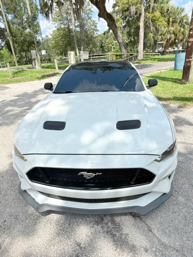 Coupe in Tampa, FL, United States 4 - 18664767