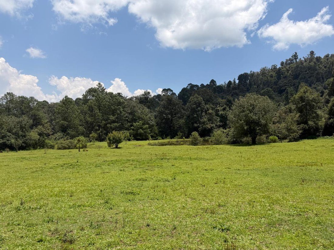 Land in Valle de Bravo, State of Mexico, Mexico 5 - 18672379