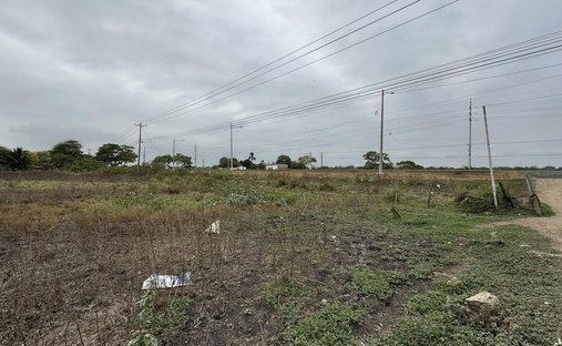 Land in Sauce, Guayas, Ecuador 1