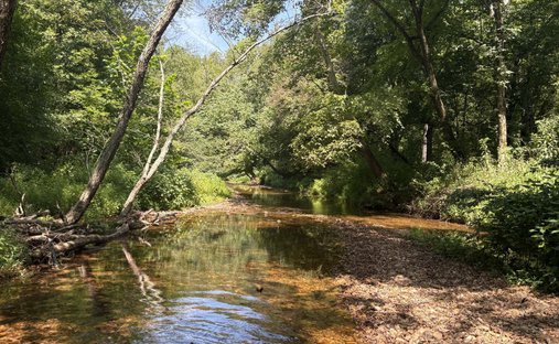 Land in Waverly, Tennessee, United States 1