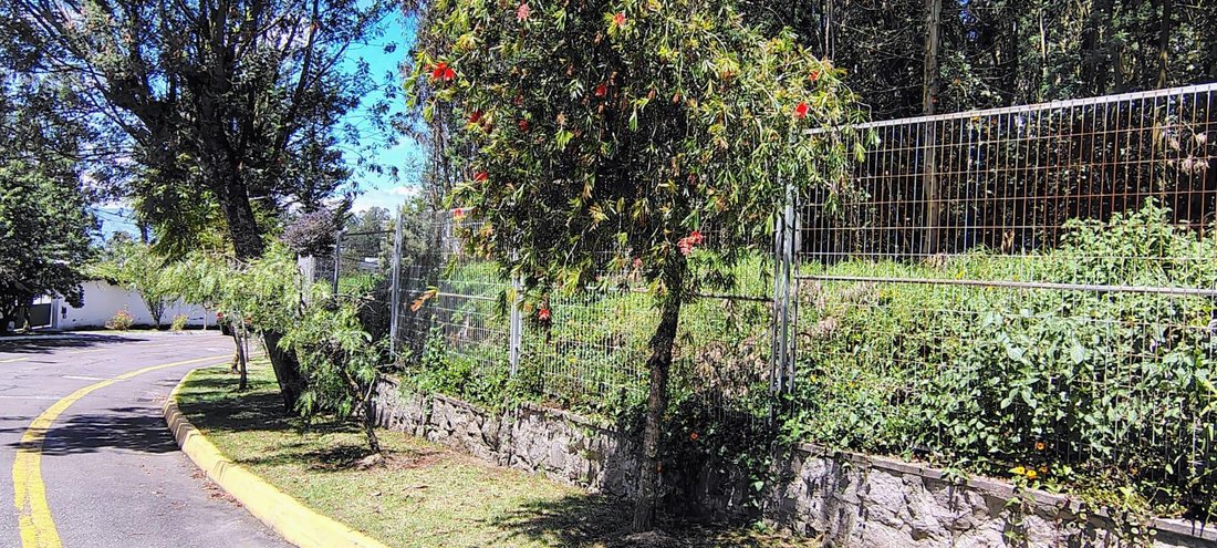 Land in Quito, Pichincha, Ecuador 5 - 18661546