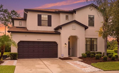 House in Wesley Chapel, Florida, United States 1