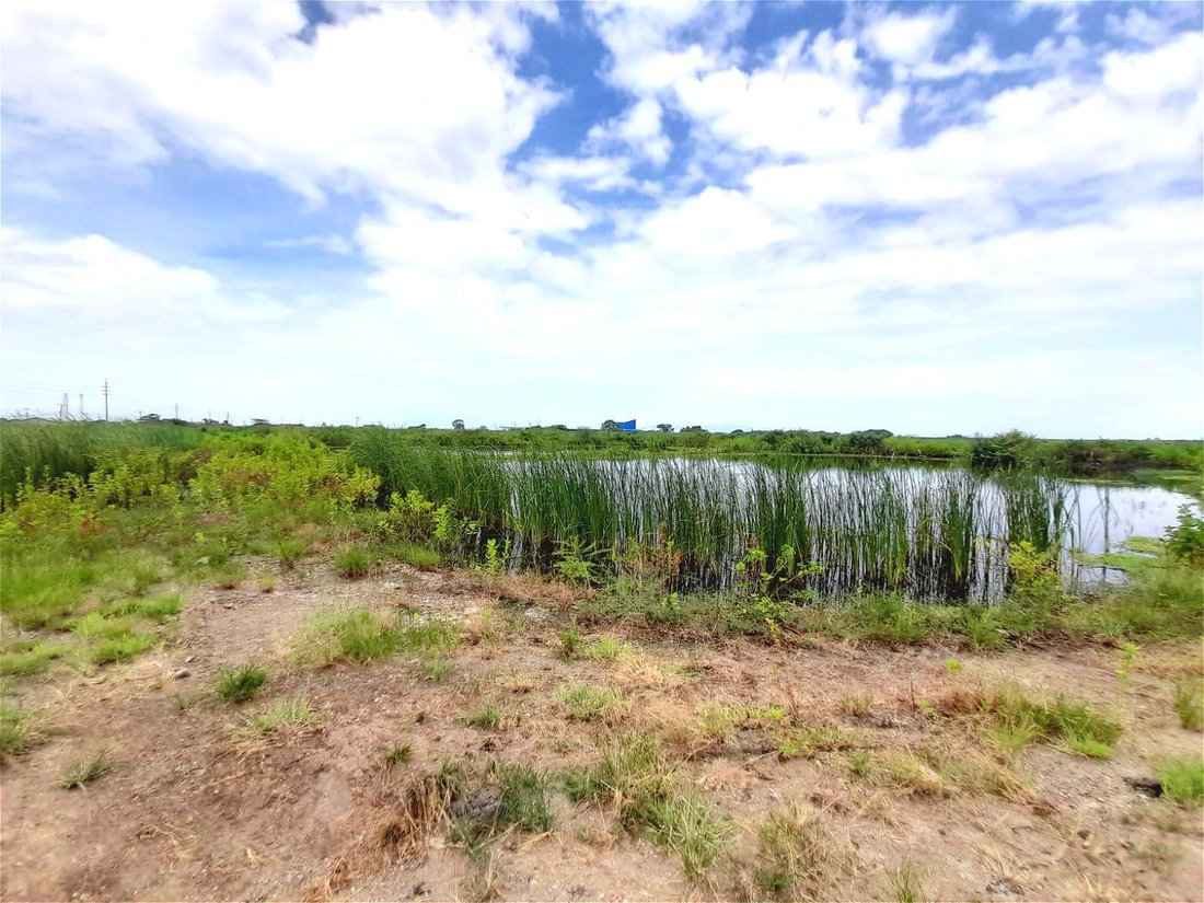 Land in Duran, Guayas, Ecuador 4 - 18660081