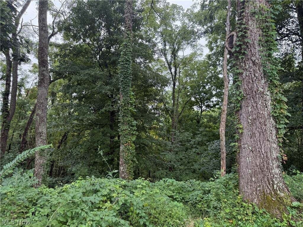 House in Woodsfield, Ohio, United States 4 - 18670642