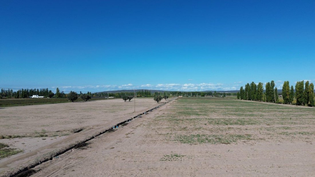 Farm Ranch in Perdriel, Mendoza Province, Argentina 2 - 18671785