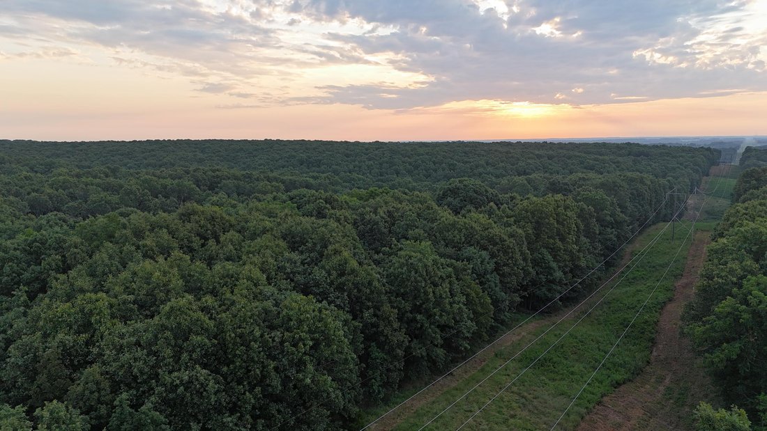 Land in Mount Vernon, Missouri, United States 1 - 18663320