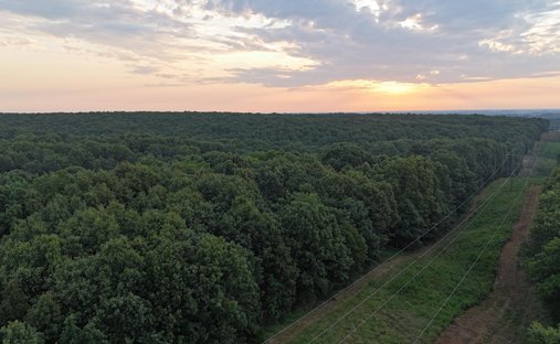 Terrain à Mount Vernon, Missouri, États-Unis 1