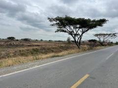 Land in Guayaquil, Guayas, Ecuador 1 - 18660480