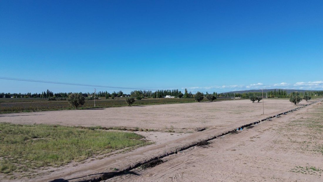 Farm Ranch in Perdriel, Mendoza Province, Argentina 5 - 18671785