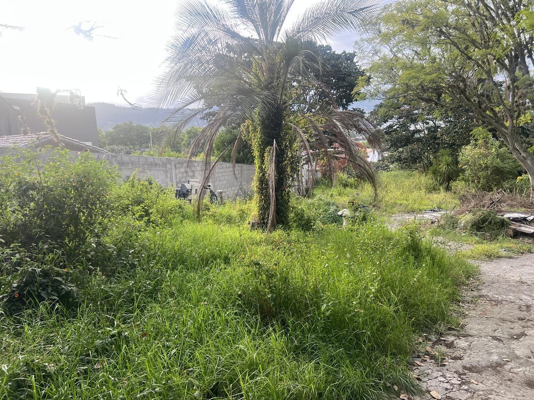 Land in Quito, Pichincha, Ecuador 3 - 18661691