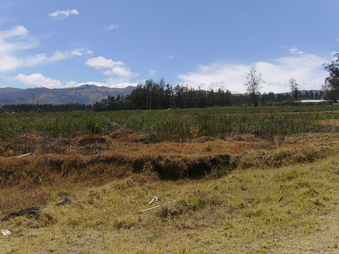 Land in Quito, Pichincha, Ecuador 2 - 18660449