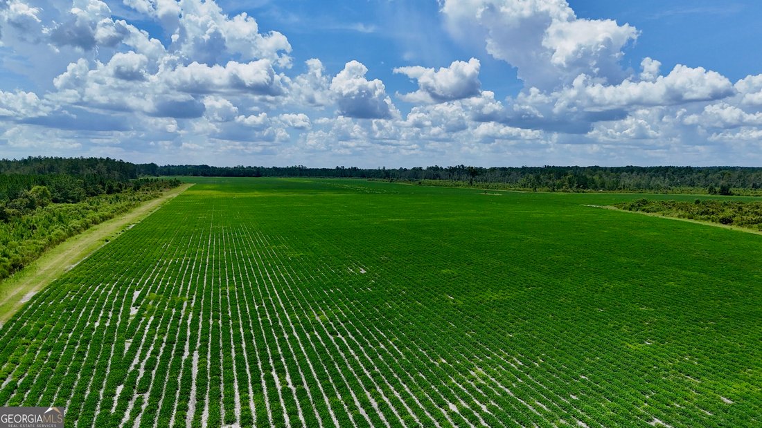 Farm Ranch in Alma, Georgia, United States 4 - 18663160