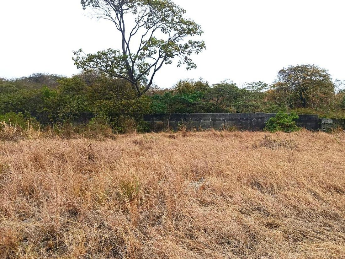 Land in Guayaquil, Guayas, Ecuador 3 - 18660158