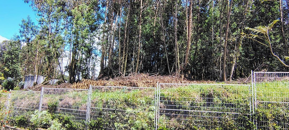 Land in Quito, Pichincha, Ecuador 1 - 18661546