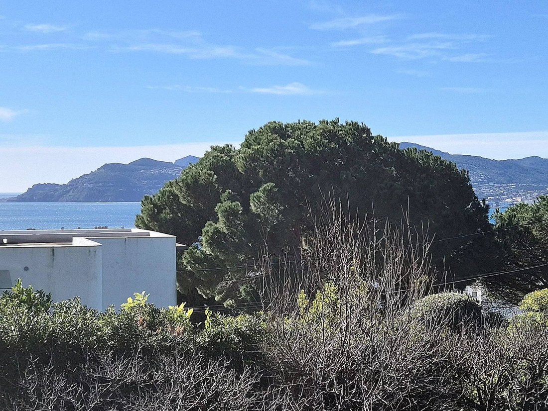 House in Cannes, Provence-Alpes-Côte d'Azur, France 5 - 17146457