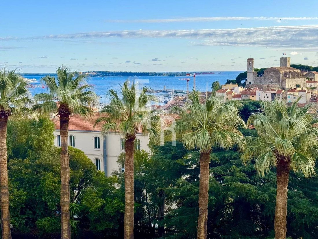 Apartment in Cannes, Provence-Alpes-Côte d'Azur, France 1 - 16886748