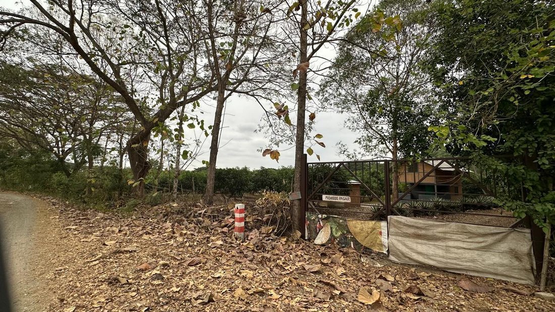 House in Guayaquil, Guayas, Ecuador 2 - 18660596