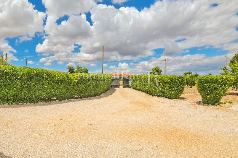 Finca a Benavente, Distretto di Santarém, Portogallo 2 - 18660923