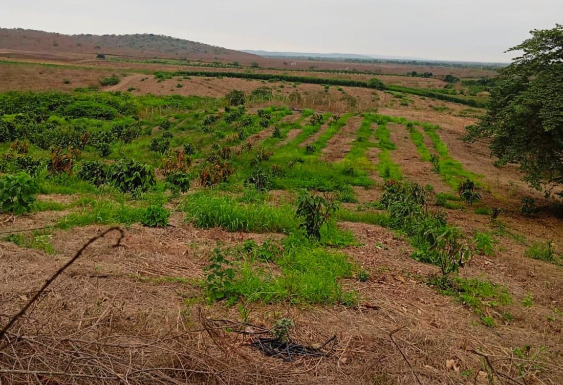 Land in Santa Elena, Santa Elena, Ecuador 1 - 18661482