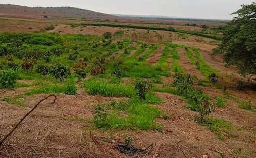 Land in Santa Elena, Santa Elena, Ecuador 1