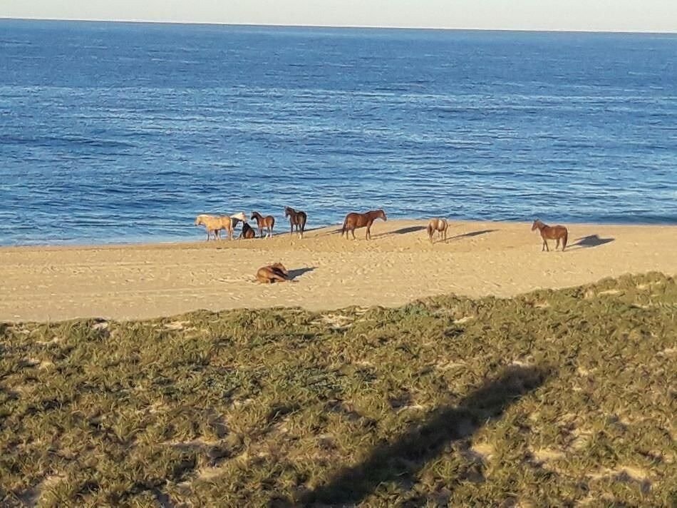 Land in Las Playitas, Baja California Sur, Mexico 1 - 18664668
