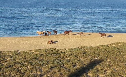 Land in Las Playitas, Baja California Sur, Mexico 1