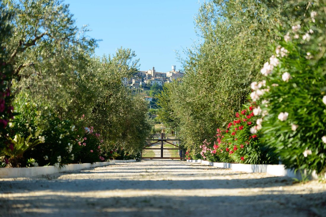 Country House in Colonnella, Abruzzo, Italy 3 - 18665227