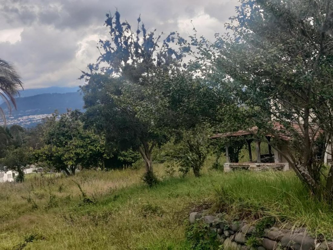 Land in Quito, Pichincha, Ecuador 3 - 18661431