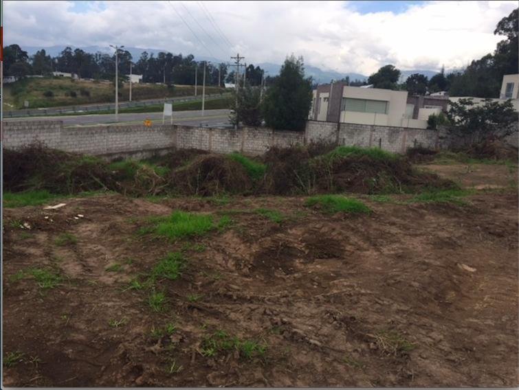 Land in Quito, Pichincha, Ecuador 5 - 18661642