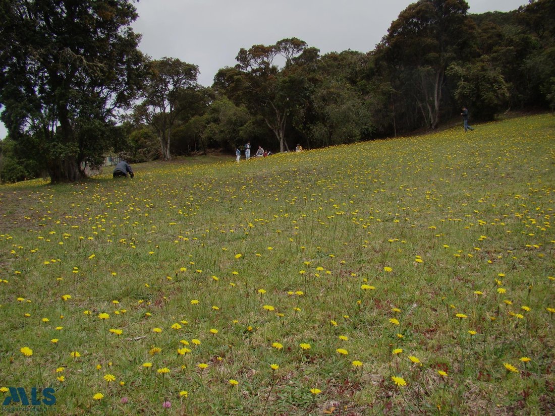 Land in Chía, Cundinamarca, Colombia 4 - 18666205