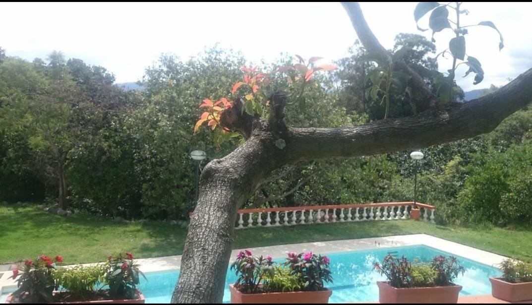 House in Quito, Pichincha, Ecuador 3 - 18661453