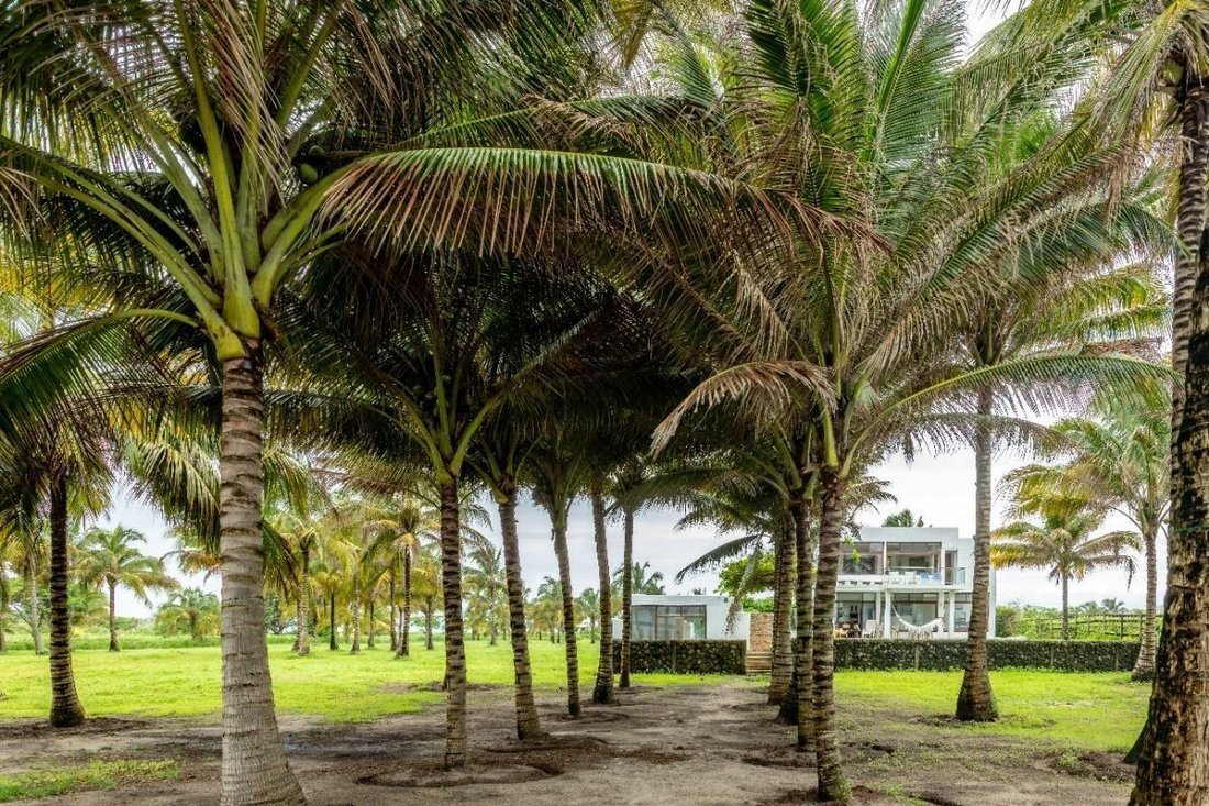 House in Cojimies, Manabí, Ecuador 5 - 18661563