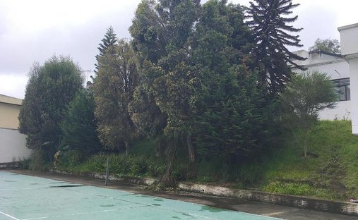 Maison à Quito, Province de Pichincha, Équateur 1