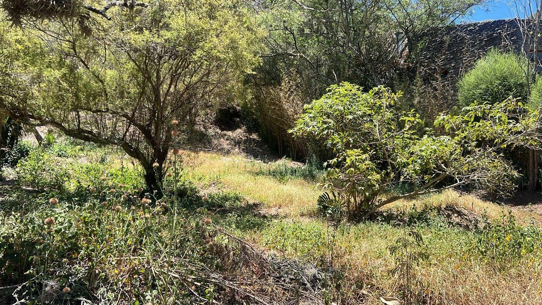 Land in Quito, Pichincha, Ecuador 4 - 18661568