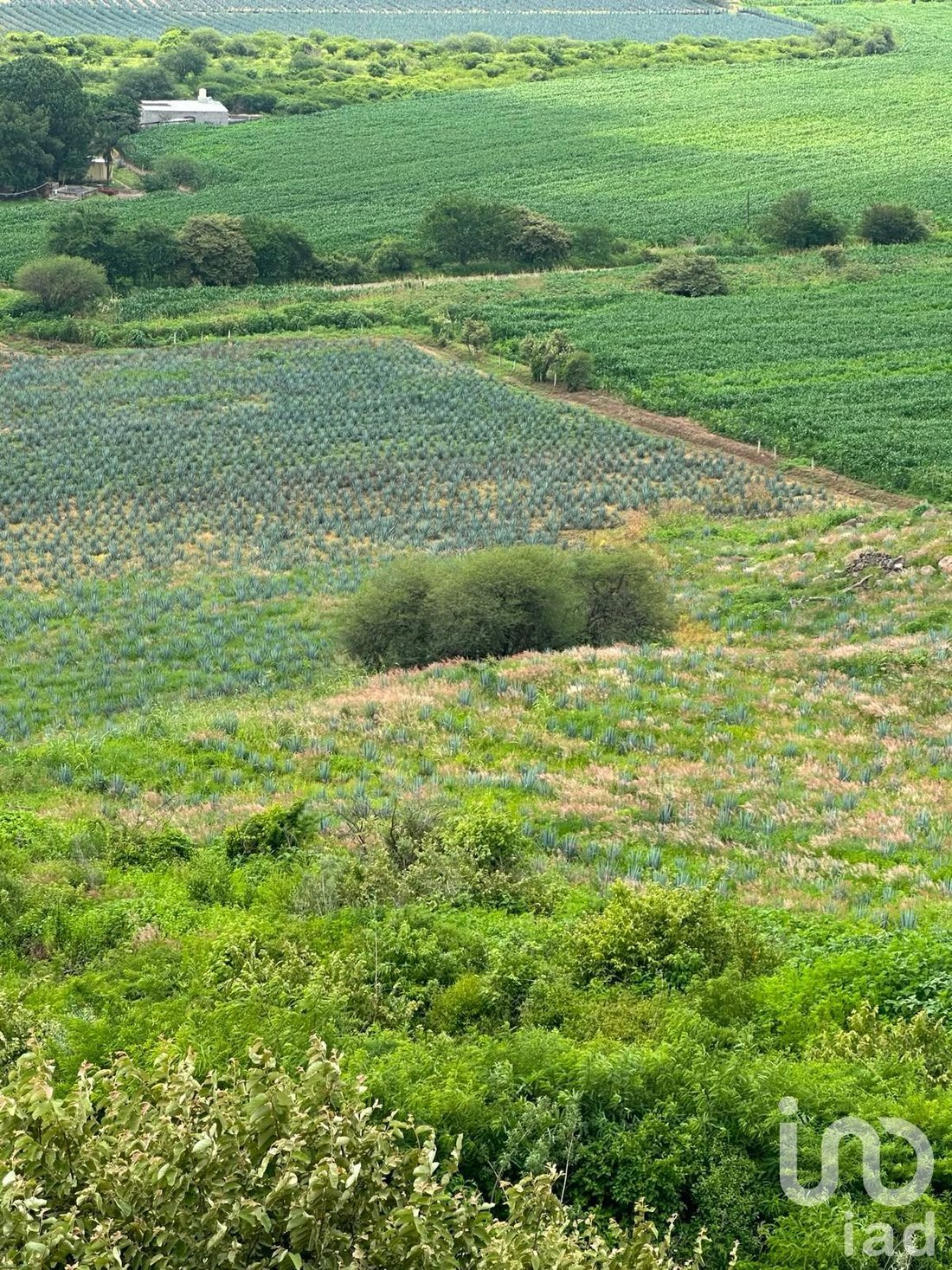 Land in Santa Cruz de las Flores, Jalisco, Mexico 1 - 18660791