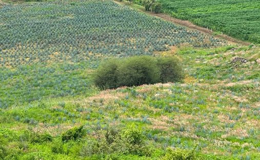 Land in Santa Cruz de las Flores, Jalisco, Mexico 1