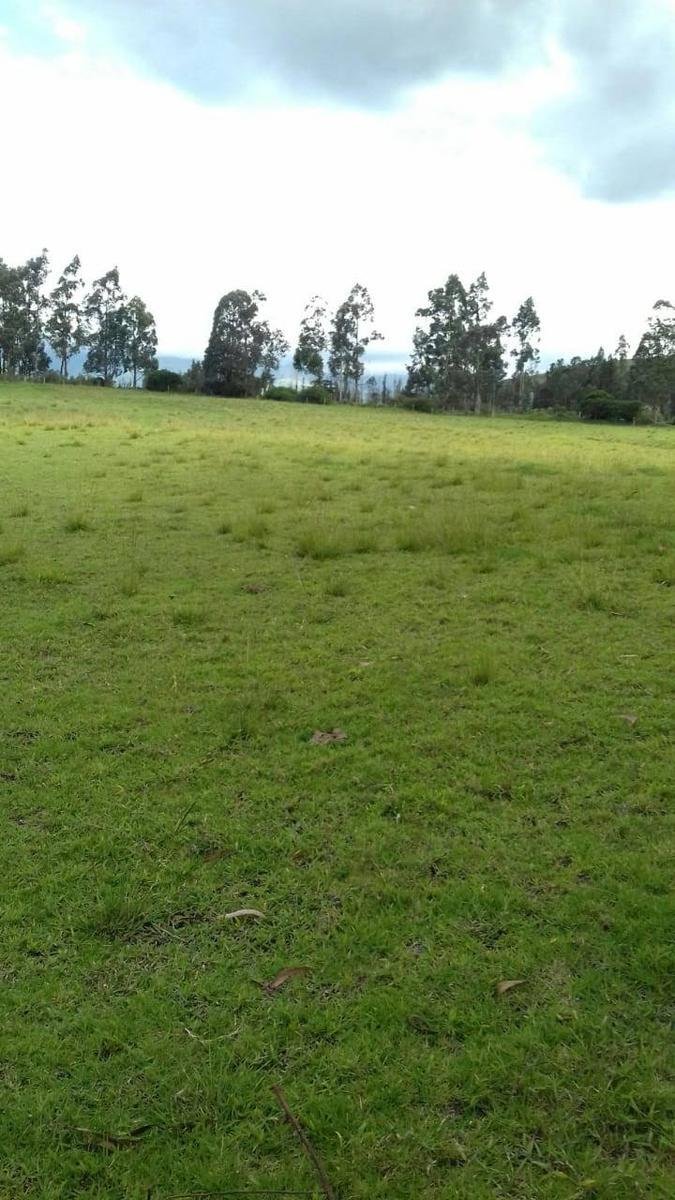 Land in Quito, Pichincha, Ecuador 4 - 18661421