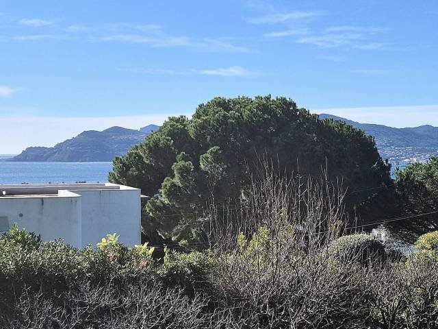 House in Cannes, Provence-Alpes-Côte d'Azur, France 5 - 17146457
